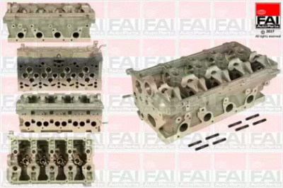 FAI AUTOPARTS bch025 -  Головка цилиндра